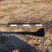 Monitored Soil Strip photograph, Linear [204] West Facing section slot (206), Ness Gap, Fortrose, Highland