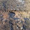 Monitored Soil Strip photograph, East facing section of slot [218]/(221), Ness Gap, Fortrose, Highland