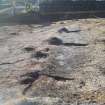 Monitored Soil Strip photograph, General Shots SW Corner NW Strip, Ness Gap, Fortrose, Highland