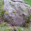 Digital photograph of rock art panel, from Scotland's Rock Art Project, Achadh Mor, Highland