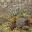 Digital photograph of panel in context without scale, Scotland's Rock Art Project, Strath Sgitheach Cnoc A' Mhuilinn 4, Highland