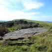 Digital photograph of panel to West, from Scotland's Rock Art Project, Diamond Hill, Ayrshire