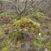 Digital photograph of panel before cleaning, Scotland's Rock Art Project, Strath Sgitheach Cnoc A' Mhuilinn 4, Highland