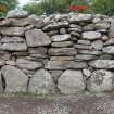 Digital photograph of rock art panel context panorama, Scotland's Rock Art Project, Balnuarin of Clava North-East Centre 2, Highland