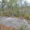 Digital photograph of rock art panel to south east, Scotland's Rock Art Project, Castleton 12, Stirling