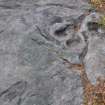 Digital photograph of close ups of motifs, Scotland's Rock Art Project, Castleton 12, Stirling