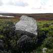 Digital photograph of rock art panel to south west, Scotland's Rock Art Project, Hacklett, Benbecula, Western Isles