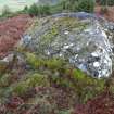 Digital photograph of panel in context with scale, from Scotland's Rock Art Project, Milton of Balnapoul, Sluggan, Highland