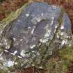 Digital photograph of panel, from Scotland's Rock Art Project, Milton of Balnapoul, Sluggan, Highland