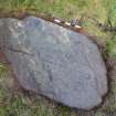 Digital photograph perpendicular to carved surface(s), Scotland's Rock Art Project, Cnoc Ravoch, Highland