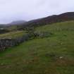 Walkover Survey photograph, Boulder spread (113) and boundary wall (114), Cambusmore Estate, Dornoch, Highland