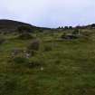 Walkover Survey photograph, Clearance cairns (92c), Cambusmore Estate, Dornoch, Highland