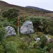 Walkover Survey photograph, Chambered cairn (91), Cambusmore Estate, Dornoch, Highland