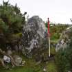 Walkover Survey photograph, Chambered cairn (91), Cambusmore Estate, Dornoch, Highland