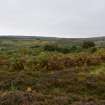 Walkover Survey photograph, Chambered cairn (91), Cambusmore Estate, Dornoch, Highland