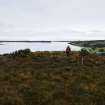 Walkover Survey photograph, Hut circle (93), Cambusmore Estate, Dornoch, Highland