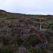 Walkover Survey photograph, Prehistoric field banks (92d), Cambusmore Estate, Dornoch, Highland