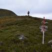 Walkover Survey photograph, Turf and stone bank (116), Cambusmore Estate, Dornoch, Highland