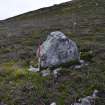 Walkover Survey photograph, Possible standing stone (117), Cambusmore Estate, Dornoch, Highland