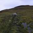 Walkover Survey photograph, Turf and stone bank (116), Cambusmore Estate, Dornoch, Highland