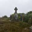 Walkover Survey photograph, Wignall Memorial (118), Cambusmore Estate, Dornoch, Highland