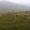 Walkover Survey photograph, Field system/clearance cairns (76), Cambusmore Estate, Dornoch, Highland