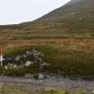 Walkover Survey photograph, Field system/clearance cairns (76), Cambusmore Estate, Dornoch, Highland