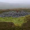 Walkover Survey photograph, Chambered cairn (76m), Cambusmore Estate, Dornoch, Highland