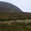 Walkover Survey photograph, Hut circle (76b), Cambusmore Estate, Dornoch, Highland