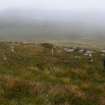 Walkover Survey photograph, Keyhole-shaped structure (76e), Cambusmore Estate, Dornoch, Highland