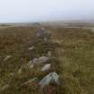 Walkover Survey photograph, Prehistoric field bank (76g), Cambusmore Estate, Dornoch, Highland