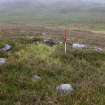 Walkover Survey photograph, Keyhole-shaped structure (76e), Cambusmore Estate, Dornoch, Highland