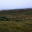 Walkover Survey photograph, Hut circle (76j) with hut circle/cairn (76f) in back, Cambusmore Estate, Dornoch, Highland