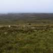 Walkover Survey photograph, Hut circle (76l), Cambusmore Estate, Dornoch, Highland