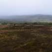 Walkover Survey photograph, Hut circle (74b), Cambusmore Estate, Dornoch, Highland