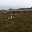 Walkover Survey photograph, Hut circle (74b), Cambusmore Estate, Dornoch, Highland