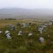 Walkover Survey photograph, Stone structure (121), Cambusmore Estate, Dornoch, Highland