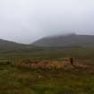 Walkover Survey photograph, Hut circle/cairn (76n), Cambusmore Estate, Dornoch, Highland