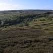 Walkover Survey photograph, Enclosure (125) with clearance cairns (126) in back, Cambusmore Estate, Dornoch, Highland