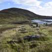 Walkover Survey photograph, Farmstead (63c), Cambusmore Estate, Dornoch, Highland