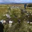 Walkover Survey photograph, Stone structure (63e), Cambusmore Estate, Dornoch, Highland