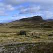 Walkover Survey photograph, Stone structure (63e), Cambusmore Estate, Dornoch, Highland