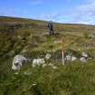 Walkover Survey photograph, Structure (63g), Cambusmore Estate, Dornoch, Highland