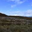 Walkover Survey photograph, Stone structure (64b), Cambusmore Estate, Dornoch, Highland