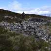 Walkover Survey photograph, Stone structure (64b), Cambusmore Estate, Dornoch, Highland