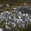 Walkover Survey photograph, Twinning pen (64c), Cambusmore Estate, Dornoch, Highland