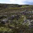 Walkover Survey photograph, Stone structure (64g), Cambusmore Estate, Dornoch, Highland