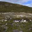 Walkover Survey photograph, Turf and stone structure (64j), Cambusmore Estate, Dornoch, Highland