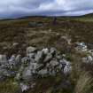 Walkover Survey photograph, Stone structure (128b), Cambusmore Estate, Dornoch, Highland