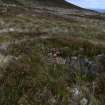 Walkover Survey photograph, Kiln barn (128e), Cambusmore Estate, Dornoch, Highland